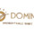Domino
